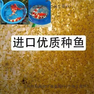 �\��ˮ���~�缃�N�ձ��t���Ѻʹ�����ɫ�p���^�p�~��ˮ�\��С