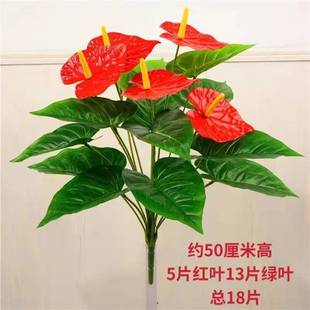 �Gֲ�t��õ�廨�ٻ��͏d�bGɫֲ����ؼٻ����Ԕ[�O�G�}С