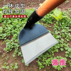 卸売りのくわの古い野菜は土を掘って荒涼としています。