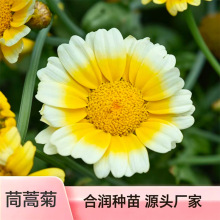 ����շN�� �������޸����� �ͺ��׻���LͥԺ�����̨���Ի���