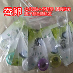 蚕种蚕籽蚕卵三年级学生科学课实验用品养蚕套装蚕宝宝宠物蚕