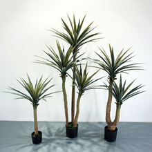 ���~���� ����Gֲ�辰 ���W�L������؄��mֲ��[���쾰�������