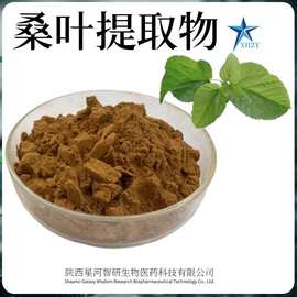 桑叶提取物10:1水溶性桑叶粉桑叶多糖桑叶浓缩粉现货包邮