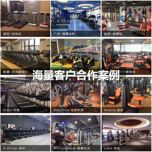 Conjunto completo comercial de equipos de fitness Hummer para gimnasio, estante de gantry Bumblebee, dispositivo de entrenamiento integral