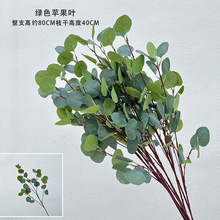 ��ɭϵ�Gɫ�~�Ӽٻ�c��ˇ���~���ĵ����b��~�ٻ��Gֲ