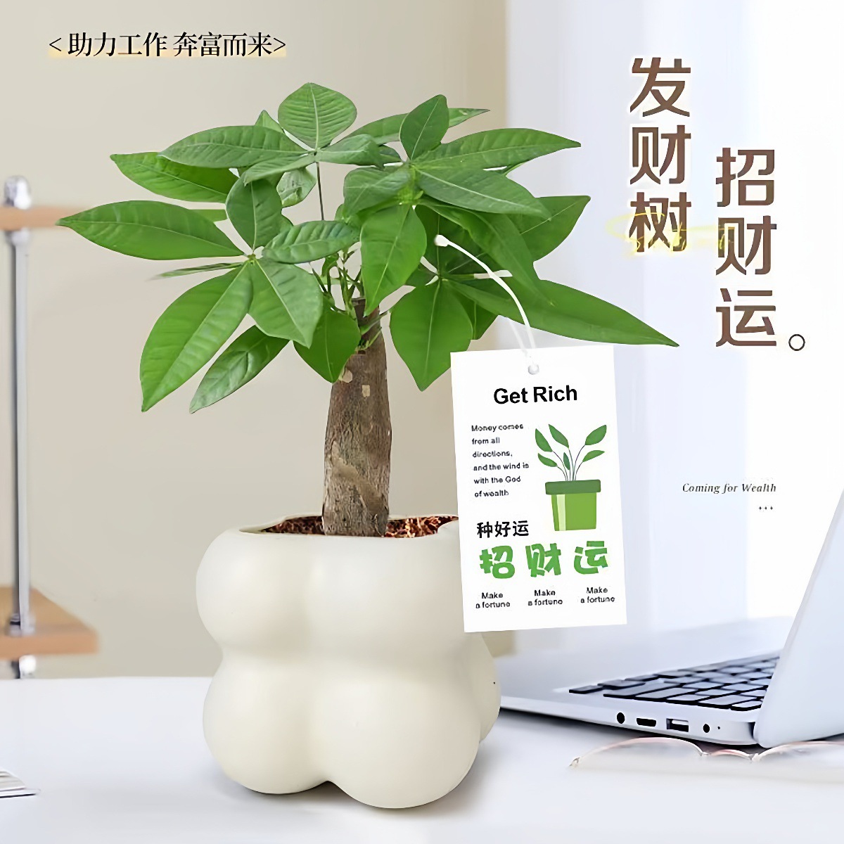 详情图