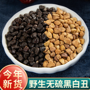 ���ٲ�Ұ���ڳ�׳���ș��500g����ţ����؛�נ�ţ�ѷ����Ȼ���