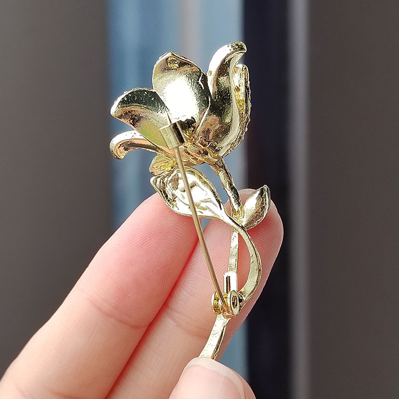 微信图片_20230621113942 拷贝