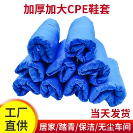 一次性口罩;一次性鞋套;防尘服