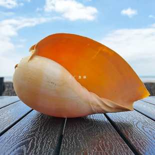 ��Ȼ����ؐ���Sư��Ҭ����   �������Ӽ��b��⻨��[��