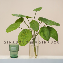 ���W�L�ָ������~�Gֲ�����b廨�O���~�b�Y����̨�����廨