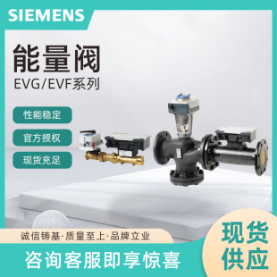 EVF4U20E065���T��ƽ���ySIEMENS�ӑB���������y DN65
