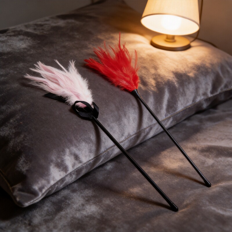 Foreign Trade Sm Erotic Products for Couples, Feather Ticklers for Teasing and Skin Stimulation Foreign Trade Sm Erotic Products for Couples, Feather Ticklers for Teasing and Skin Stimulation