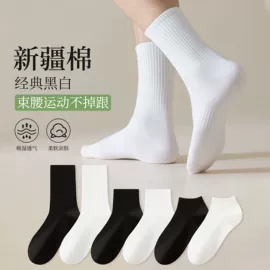 运动休闲棉袜;连裤袜打底袜;丝袜