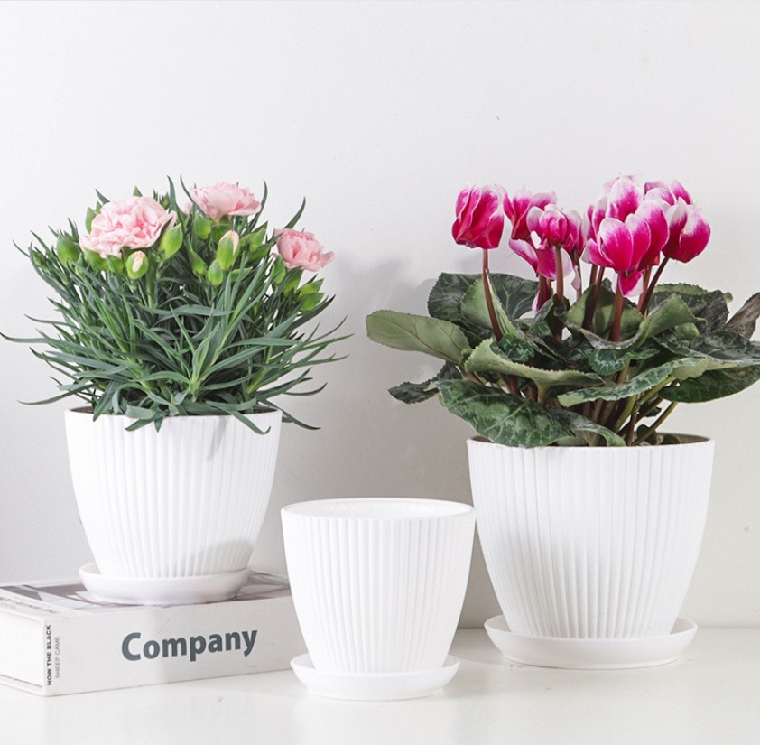 微信截图_20231216171814