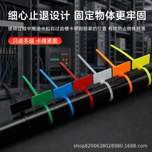 彩色标牌扎带自锁式 电线分类标识理线带 仓库商超标记尼龙扎带