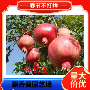 ̩ɽ�tʯ��С�����l ܛ��ʯ����r�� ��ʯ�� ܛ��ͻ��˹ �tƤ����