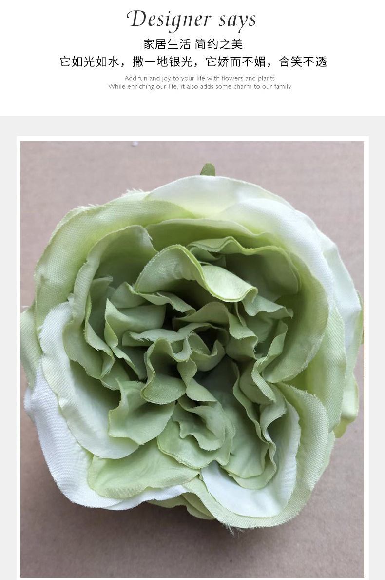奥斯汀玫瑰花_02.jpg