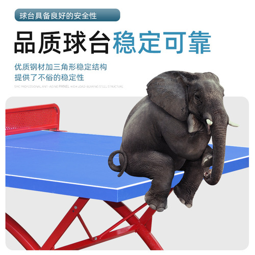 Outdoor table tennis table outdoor table tennis table standard competition table tennis table school sun protection SMC table tennis case