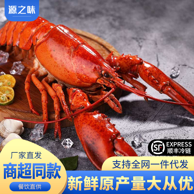 波士顿龙虾速冻大波龙鲜冻海鲜活冻澳洲澳龙超大特大商用整箱批发