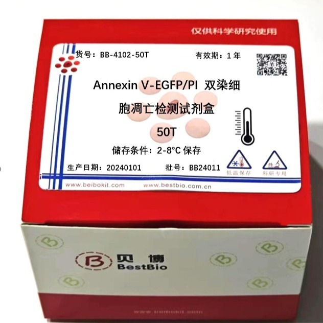 Caspase 8 活性检测试剂盒 BB-4107 (现货）