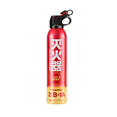 Vehicle fire extinguisher | Small Portable 600ML Fire