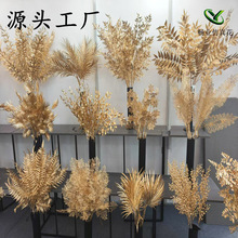 �S�����l�b[���������t�����Ϸ��滨��ɫС���ȼ����}�Q���滨