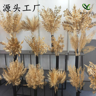 �S�����l�b[���������t�����Ϸ��滨��ɫС���ȼ����}�Q���滨