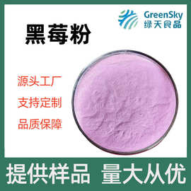 黑莓粉水溶性黑莓粉冻干黑莓果粉固体饮料奶昔原料水果粉源头厂家
