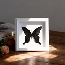 �G�������˱���Ҋ���x���Ĵ��l��Ʒ�{ɫ���նY�ﱳ�����b�