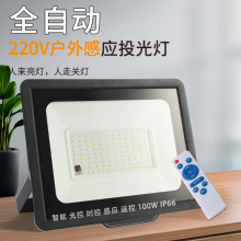 ledwБͶˮͥԺOa220V_t200W