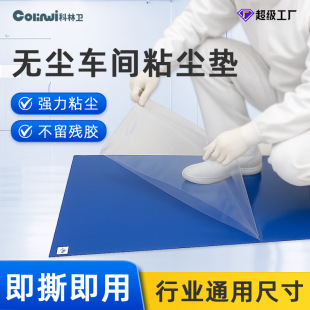 Disposable Dust-Absorbing Mat, Tearable Shoe Sole Dust-Absorbing Dust-Free Workshop Floor Clean Room Dust-Absorbing Floor Mat