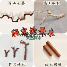 �����쾰ľ���ָ��߽޽��،m�ת{����������̨���y��ľ��֦��