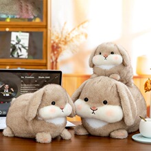 �ɐ۴�С�����ſſ�����L������ë�q��߻�c������ż�S�����l