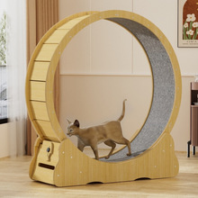 ؈ܲCoL݆؈؈ľ\݆｡؈؈D݆