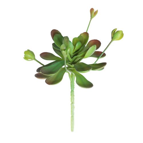 Cross-border blue lotus succulent plant simulation flower wedding succulent family background flower wall photography green plant MW17682