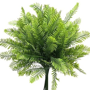 ֲپGֲb仨ާ5Pβϲ˹Ų