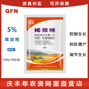 ����5%ϩЧ�� �����������t������ �������L ���L�{���� 100��