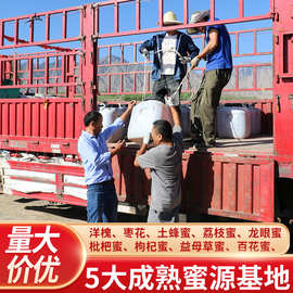 现货供应一手货源蜂农自产原蜜出口品质成熟粘稠纯香批发散装蜂蜜