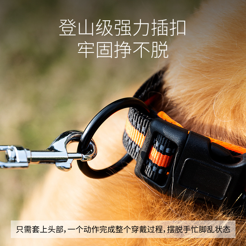 Sandwich cómodo collar de perros grandes perros de tamaño mediano collar de cabello dorado ajustable para artículos de mascotas resistentes al desgaste