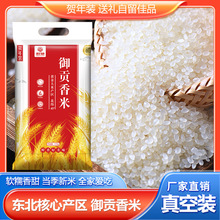 ����ֱ�������Ź�5�ﶫ�����鶫�������������������������