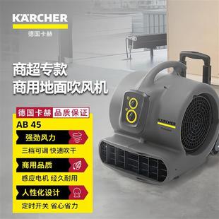 Karcher German Karcher Blow Dryer Hotel Floor Carpet High-Power Commercial Blower Ab45