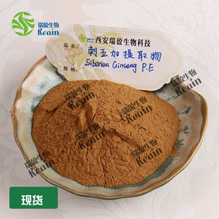 刺五加提取物 水提浓缩 五加皮提取 刺五加皂甙 原料粉 瑞盈供应