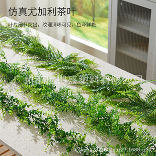 ���R�d�����ȼ���������� diy��˹����ֲ���ٗl�T���b��ٗl���