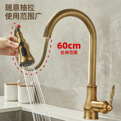 跨境輕奢全銅仿古抽拉式廚房水龍頭家用水槽洗菜盆冷熱防濺水龍頭