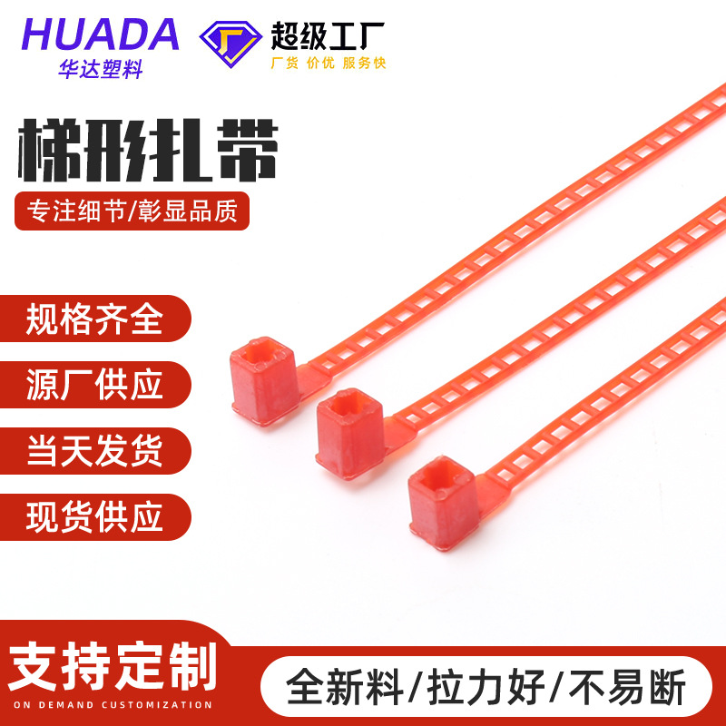 梯形扎带 阶梯型多重锁紧式不锈钢喷塑扎带固定捆绑电缆船用