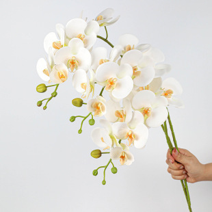 3D��ӡ7�^�����m ���ϼٻ� �҃��b� ���滨��c�zӰ �Ҿ��b�