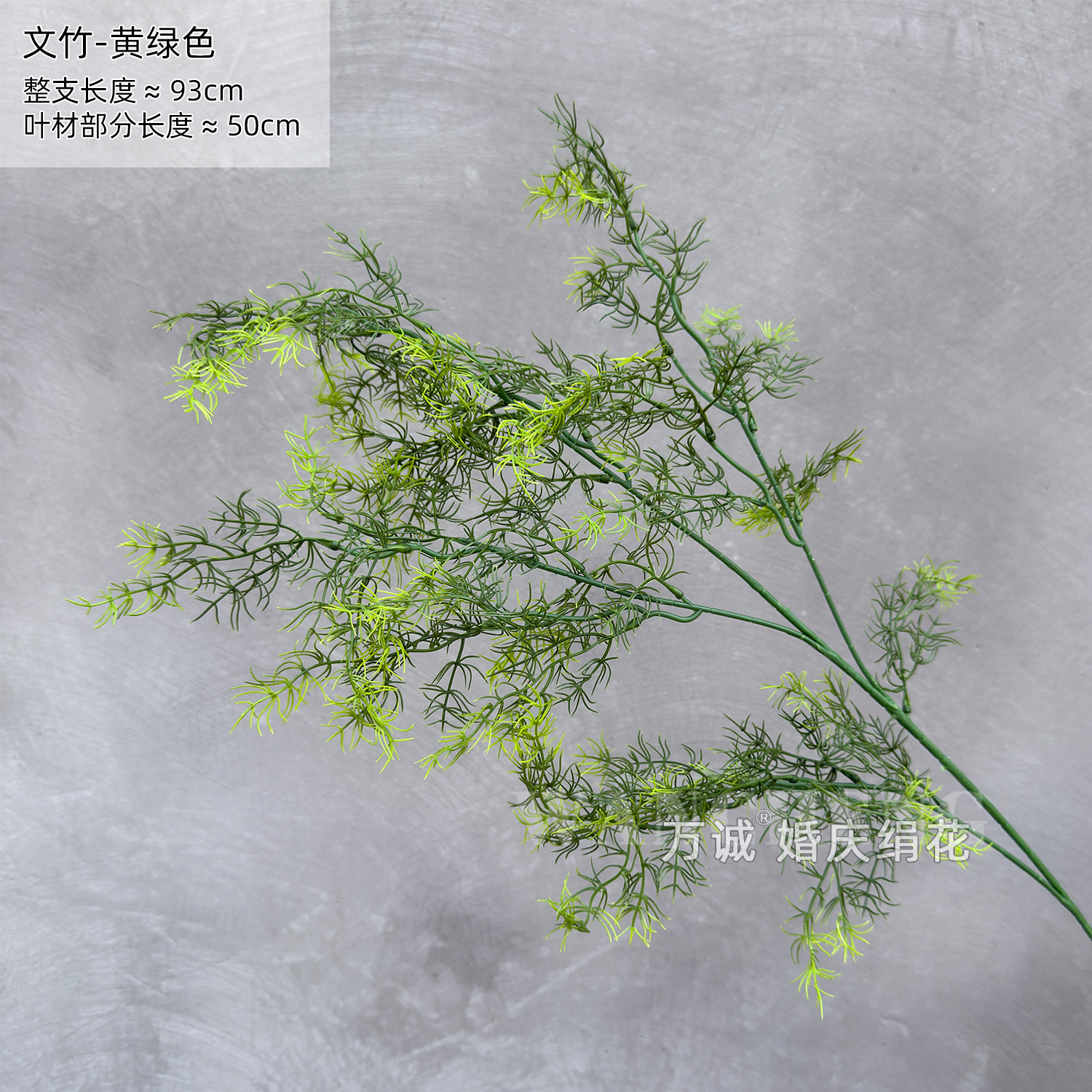 Asparagus yellow green