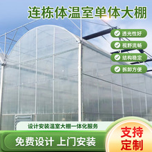 ��\䓹������Ǽܽ���Nֲ�߲˲������һ��������������ꖿ���