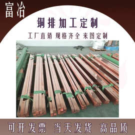 厂家直销T2环保紫铜排接地铜排加工镀锡镀镍镀银2*5 2*10 3*10mm